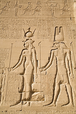 Relief of Cleopatra and Horus, Temple of Hathor, Dendera, Egypt, North Africa, Africa