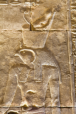 Relief of the God Horus, Temple of Horus, Edfu, Egypt, North Africa, Africa