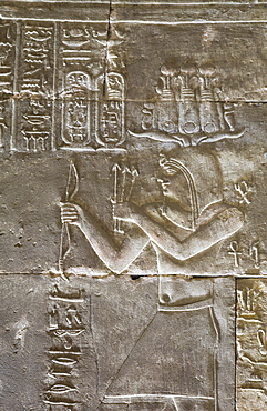 Relief of a Priest, Temple of Horus, Edfu, Egypt, North Africa, Africa