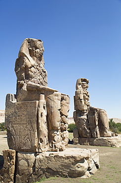 Colossi of Memnon, West Bank, Thebes, UNESCO World Heritage Site, Egypt, North Africa, Africa