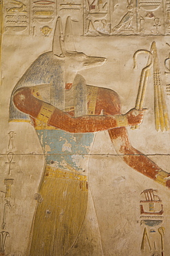 Bas-relief of the God Anubis, Temple of Seti I, Abydos, Egypt, North Africa, Africa