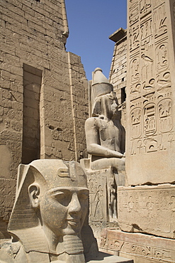 Head of Ramses II in foreground and Colosssus of Ramses II behind, Luxor Temple, Luxor, Thebes, UNESCO World Heritage Site, Egypt, North Africa, Africa