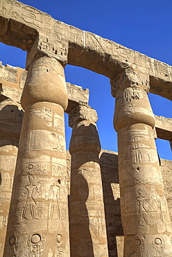 Columns in the Court of Ramses II, Luxor Temple, Luxor, Thebes, UNESCO World Heritage Site, Egypt, North Africa, Africa