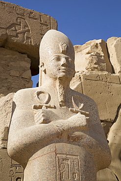 Statue of Pharaoh, Precinct of Amun-Re, Karnak Temple, Luxor, Thebes, UNESCO World Heritage Site, Egypt, North Africa, Africa