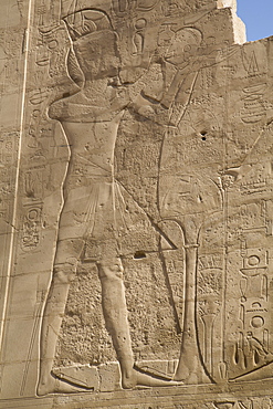 Bas-relief of figures and hieroglyphs, Karnak Temple, Luxor, Thebes, UNESCO World Heritage Site, Egypt, North Africa, Africa