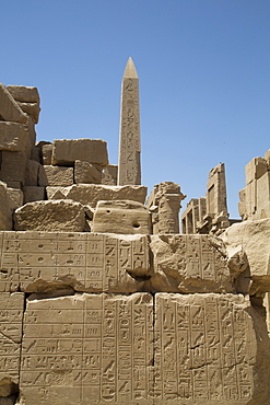 Hierogyliphics in foreground, Obelisk of Tuthmosis in the background, Karnak Temple, Luxor, Thebes, UNESCO World Heritage Site, Egypt, North Africa, Africa