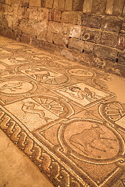 Floor mosaics, Petra Church (Byzantine Church), built between the 5th and 7th centuries AD, Petra, UNESCO World Heritage Site, Jordan, Middle East