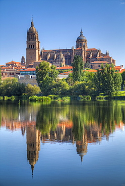 Water reflection, Cathedral Of Salamanca, Salamanca, UNESCO World Heritage Site, Castile y Leon, Spain, Europe