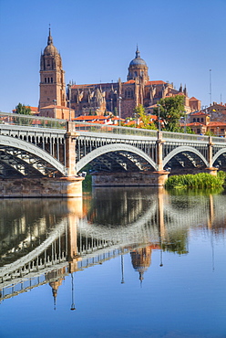 Enrique Estavan Bridge in foreground, Cathedral of Salamanca, Salamanca, UNESCO World Heritage Site, Castile y Leon, Spain, Europe