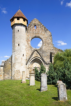 Ruins, Cistercian Monastery, Founded 1202, Carta, Sibiu County, Transylvania Region, Romania, Europe