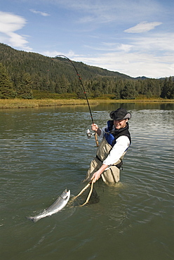 Fisherman catching a Silver (Coho) salmon (Oncorhynchus kisutch), Coghill Lake, Alaska, United States of America, North America