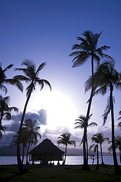 Hut over the water and palm trees silhouetted at sunset, Yandup Island, San Blas Islands (Kuna Yala Islands), Panama, Central America