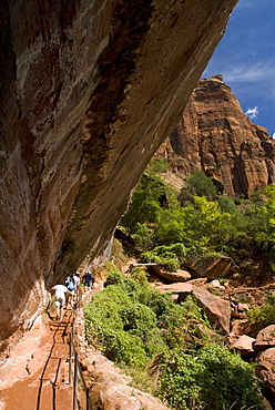 Lower Emerald Pool, Zion National Park, Utah, United States of America, North America