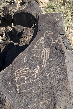 Petroglyph National Monument, petroglyphs carved into volcanic rock by American Indians 400 to 700 years ago, New Mexico, United States of America, North America