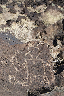 Petroglyph National Monument, petroglyphs carved into volcanic rock by American Indians 400 to 700 years ago, New Mexico, United States of America, North America