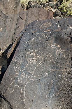 Petroglyph National Monument, petroglyphs carved into volcanic rock by American Indians 400 to 700 years ago, New Mexico, United States of America, North America