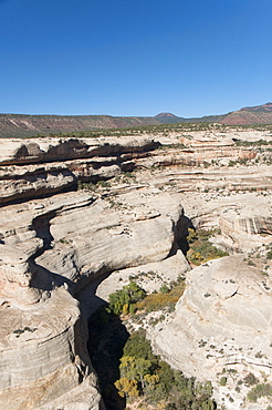 Natural Bridges National Monument, view from Horsecollar Ruin Overlook Trail, Utah, United States of America, North America