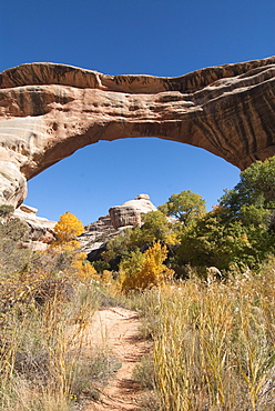 Natural Bridges National Monument, Sipapu Bridge, Utah, United States of America, North America