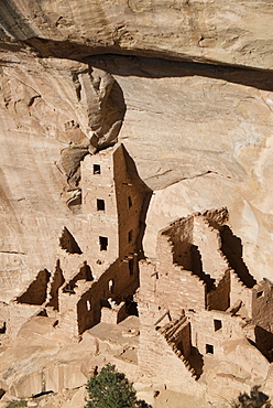 Mesa Verde National Park, Spruce Tree House, UNESCO World Heritage Site, Colorado, United States of America, North America 