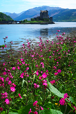 Castle Dornie, Highland, Scotland