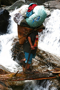 A porter crosses a river using a fallen log whilst carrying a heavy load up the Hingku Valley, near Lukla, south of Mount Everest, Nepal Himalaya, Nepal, Asia