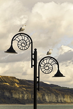 The famous Ammonite design streetlghts in Lyme Regis, Dorset, England, United Kingdom, Europe 