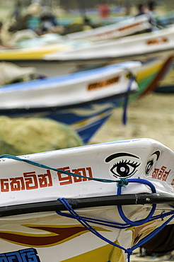 Brightly coloured fishing boats at the port of Negombo, Sri Lanka, Asia