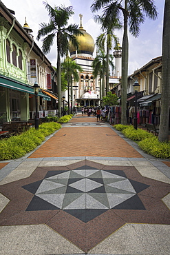 Road leading to the Sultan Mosque in the Arab Quarter, Singapore, Southeast Asia, Asia