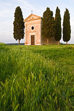 Chapel Madonna di Vitaleta, Val d'Orcia, near Pienza, Tuscany, Italy, Europe