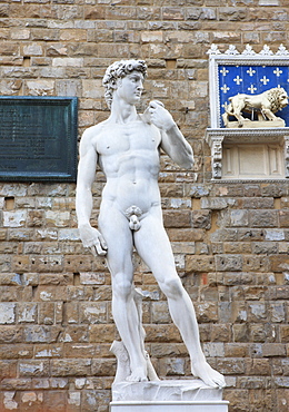 Statue of David, Piazza della Signoria, Florence, UNESCO World Heritage Site, Tuscany, Italy, Europe