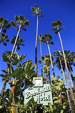 Sign for Beverly Hills Hotel, Beverly Hills, Los Angeles, California, USA