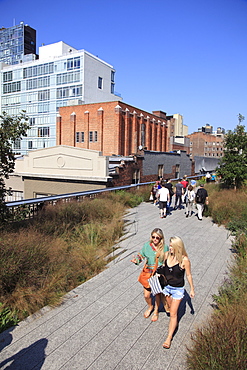 High Line Park, elevated public park on former rail tracks, Manhattan, New York City, United States of America, North America