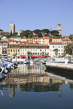 Harbor, Port, Le Suquet, Old Town, Cannes, Alpes Maritimes, Cote d'Azur, Provence, French Riviera, France, Europe