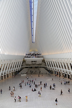 Oculus, architect Santiago Calatrava, World Trade Center Transportation Hub, Financial District, Manhattan, New York City, United States of America, North America