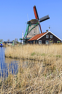 Preserved historic windmills and houses in Zaanse Schans, a village on the banks of the river Zaan, near Amsterdam, it is a popular tourist attraction and working museum, Zaandam, North Holland, Netherlands