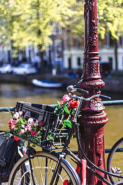 A bicycle decorated with flowers by a canal, Amsterdam, Netherlands, Europe