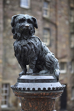 Greyfriars Bobby, Edinburgh, Lothian, Scotland, United Kingdom, Europe