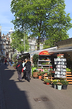 Bloemenmarkt (flower market), Amsterdam, Netherlands, Europe