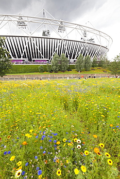 Olympic Stadium surrounded by wild flowers in the Olympic Park, Stratford City, London, England, United Kingdom, Europe