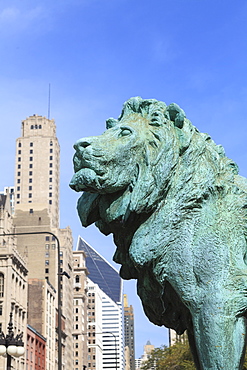 One of the two iconic bronze lion statues outside the Art Institute of Chicago, Chicago, Illinois, United States of America, North America