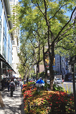 The Magnificent Mile, North Michigan Avenue, Chicago's premier shopping street, Chicago, Illinois