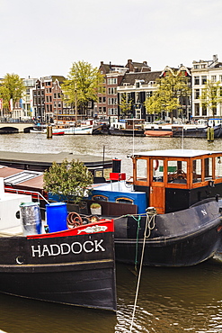 Houseboats on the Amstel River, Amsterdam, Netherlands, Europe