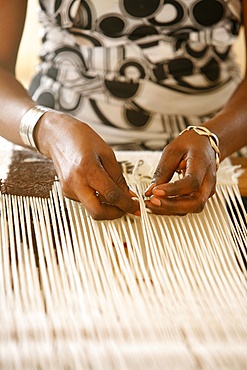 Weaver, Popenguine, Thies, Senegal, West Africa, Africa