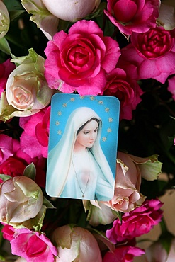 Picture of the Virgin Mary with roses, Paris, France, Europe