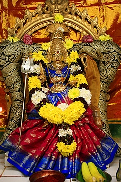 Tamil Hindu goddess, Paris, France, Europe