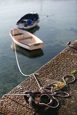 Boats, Roscoff, Finistere, Brittany, France, Europe