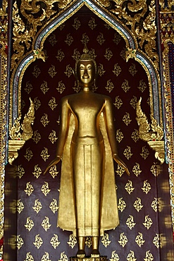 Golden Buddha in Wat Po temple, Bangkok, Thailand, Southeast Asia, Asia