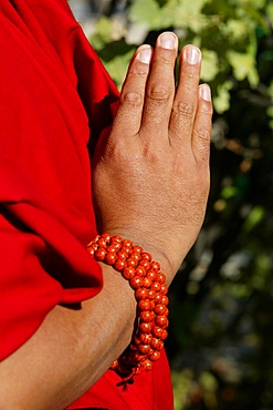 Praying hands, Paris, France, Europe