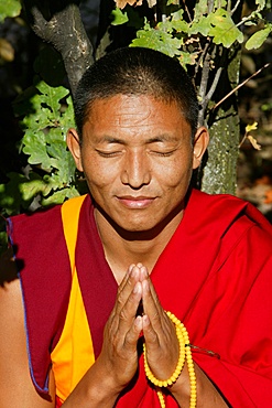 Tibetan monk, Paris, France, Europe