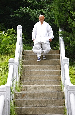 Buddhist monk, Bongeunsa temple, Seoul, South Korea, Asia